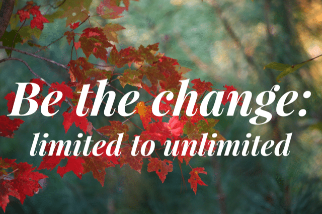 Be The Change: Limited to Unlimited by Janice Stone