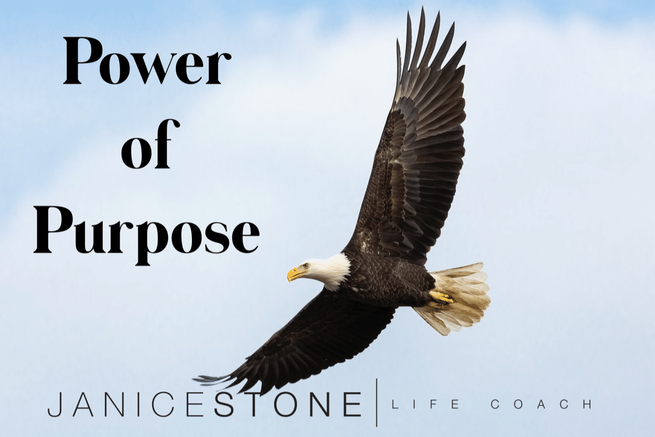 We need the power and purpose of an eagle by Janice Stone