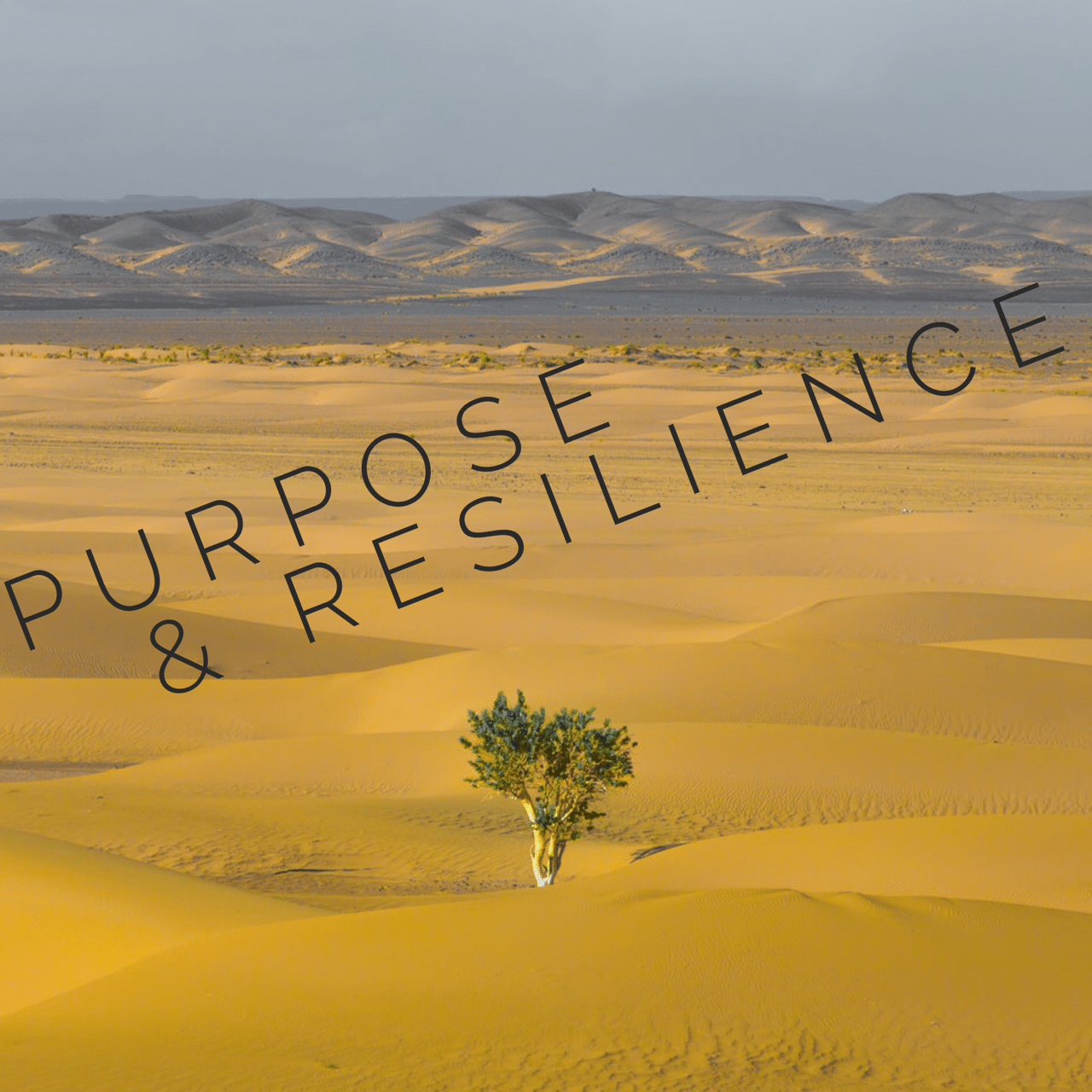 Purpose in Resilience by Janice Stone
