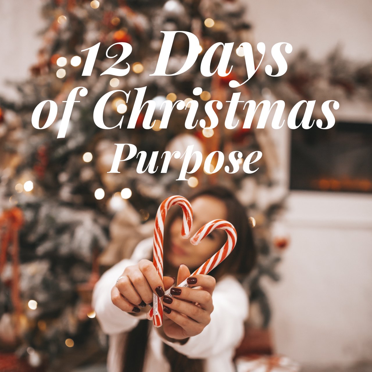 12 Days of Christmas Purpose - Blog by Janice Stone
