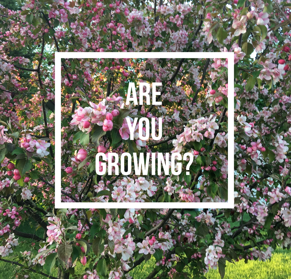 Are You Growing by Janice Stone