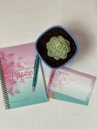 Janice Stone Purpose Journal Gift Set